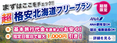 【期間限定】超格安北海道フリープラン