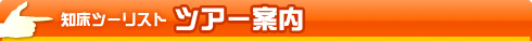 知床ツーリスト　ツアー案内