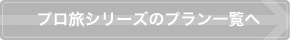 プロ旅シリーズのプラン一覧へ